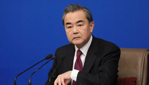 被王毅认出的外国记者劝诫台独，国际视野下的坚定立场