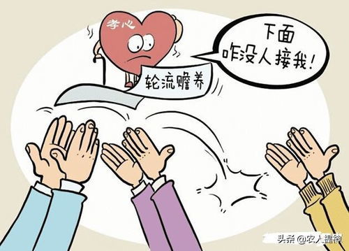 父亲向女儿索要赡养费供养智残儿子，伦理与法律的交织