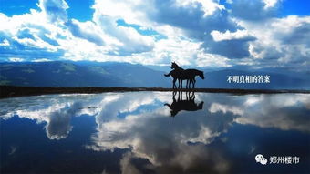 七年情深路漫漫，一场时光与爱的纠缠（30集）