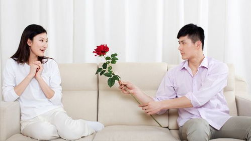 离婚后，我给老婆送飞机（90集）
