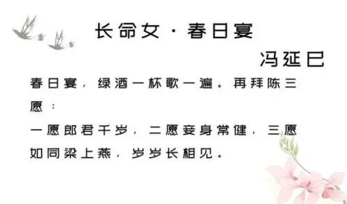 心肝宠（98集），情感、成长与真挚的交织