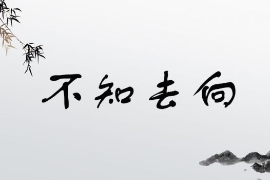 遥遥不知意（62集）