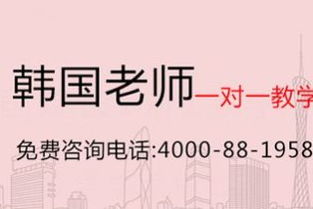 三人行必有我夫（80集）