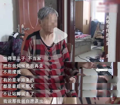 重生从被女儿赶出家门开始（80集）