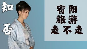 相逢却似曾相识，离婚后顾太太的马甲藏不住了（79集）