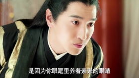 所爱隔山海，严雯丽的情感历程（73集）