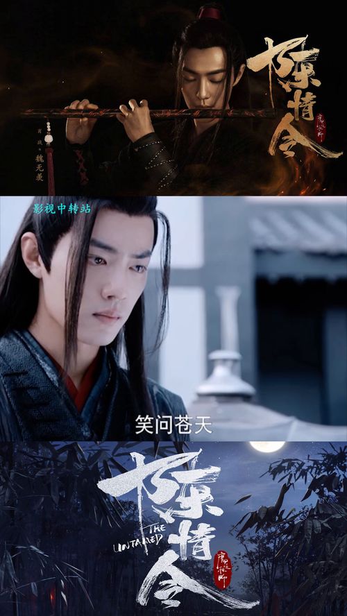 师姐忍不住了（95集）