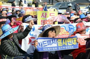韩国民众集会高喊尹锡悦下台，社会运动的背后