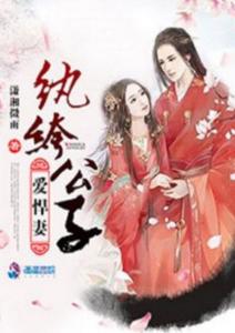 纨绔少爷掌上娇（100集）剧情解析与角色深度剖析