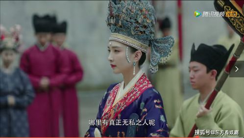 贵妃路子野——深度解读79集传奇故事