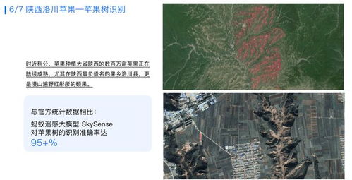 探索全集的世界，深度解读与多维视角