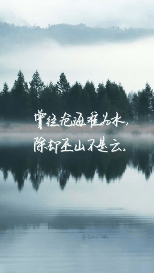 云深见朝阳，陈政阳的传奇人生（76集长篇）