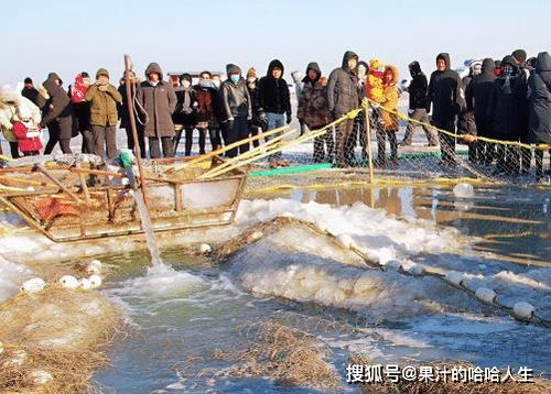 查干湖的鱼都是洗澡鱼？假的