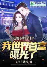 捡个老婆是首富（100集），现代都市的奇迹与爱情的无限可能
