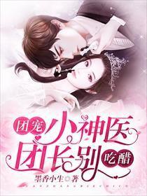 神婿医仙，融合传统与现代魅力的传奇故事（100集深度解析）