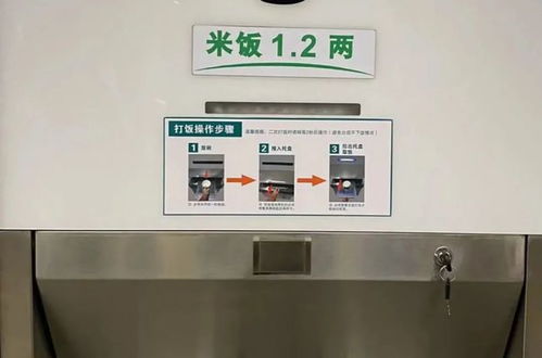 儿不嫌母丑（73集）