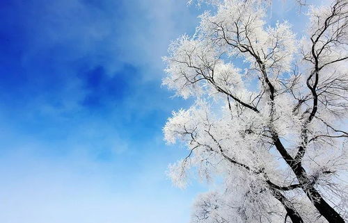 春雪落无声（67集）