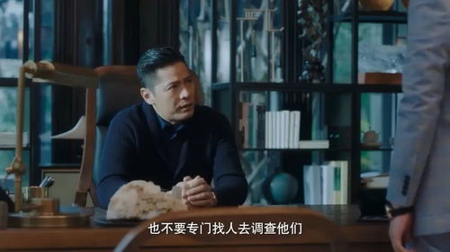 撩心（83集），情感与命运的交织之美