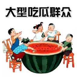 握紧我的小马甲，一场充满冒险与趣味的旅程（共80集）
