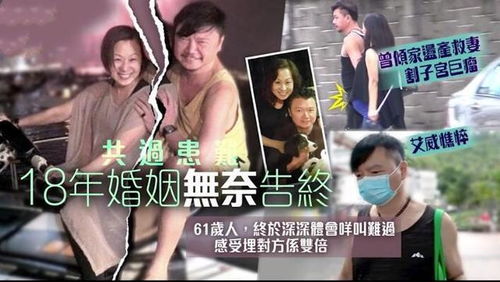 霍少娇妻太嚣张，钟熙与王寒阳的恩怨纠缠（80集剧情解析）