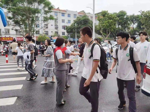 金榜题名，柳宁的奋斗之路（69集系列故事）