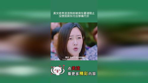 我的霸道美女房东（95集）