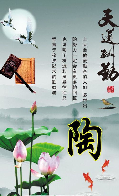 盖世齐天道（91集），探寻天道之路，领悟人生真谛