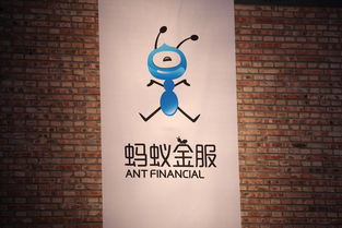 引她入室，一场心灵的探索之旅（共58集深度解析）
