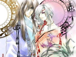 仙尊师傅太诱人，八十集风华绝代的故事