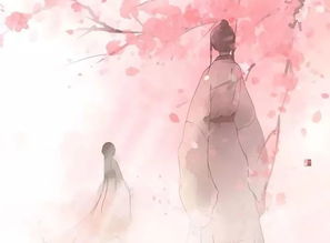 相思恰相逢（第92集）与四一的奇妙缘分
