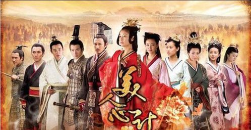 后宫神医太凶猛，医术与权谋的交织（101集深度解析）