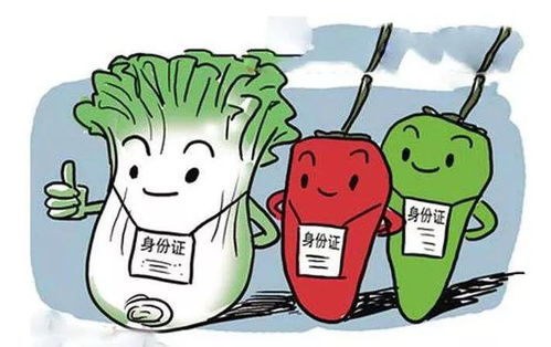 多名外卖小哥提醒避雷黄焖鸡，食品安全与消费者权益的探讨
