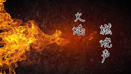 火种，燃烧的力量与希望的象征（67集深度解析）