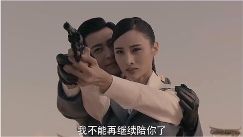 少帅不敢爱