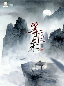 夏至凤吟，光影中的传奇故事（60集深度解析）