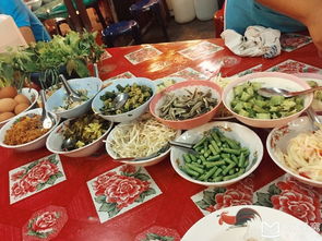 逍遥小食仙，美食之旅的八十一难与人生百态（共82集深度解析）