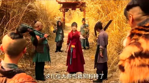 奉旨下山之山下女人是老虎（1—120集）剧情解析及深度探讨