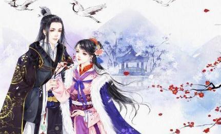 药王医婿，传奇中的医术与命运