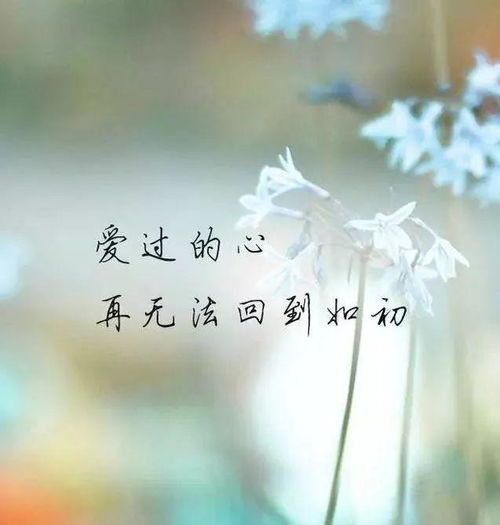 一念情深爱有韵剧情解析（90集深度好文）