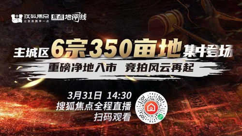 职场之风云再起（99集）