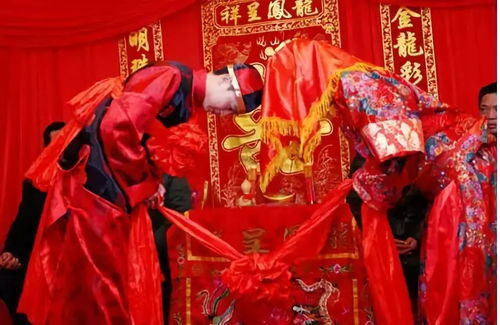 新人结婚，一路生花，娘家展现开放与包容的智慧