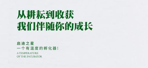 总裁遗言的三点深意，传承、反思与启示