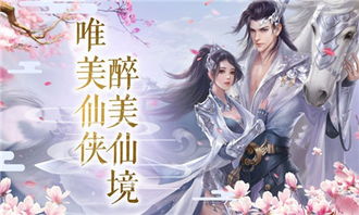 相师神婿，传奇人生与不凡智慧