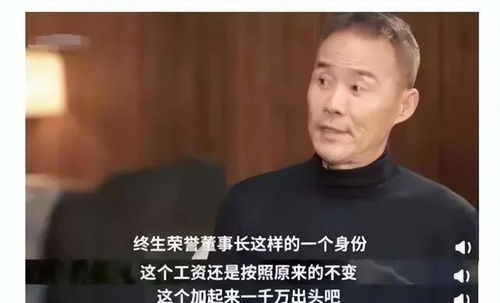 妻不厌诈，深度解读一部充满智慧与策略的婚姻故事（84集）