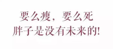 寒门贵子深度解析，励志传奇的60集人生篇章