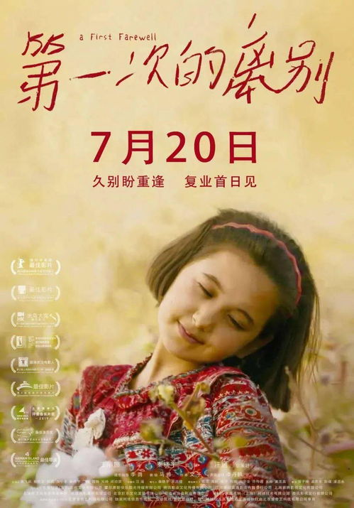 云深不闻鹿鸣（95集），申浩南与戴凤仪的新剧探秘