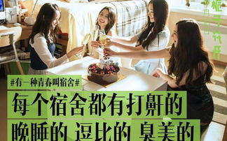 宠爱，生活的甜蜜旋律（96集系列故事）
