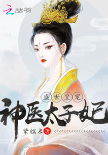 新篇，神医毒妃（98集）——时空穿越的医术传奇