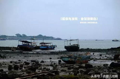 中国登陆奇观，驳船现身海滩的深度解读