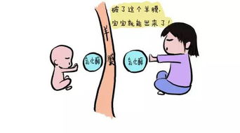 身体互换后，马宝男主替我生孩子（上）